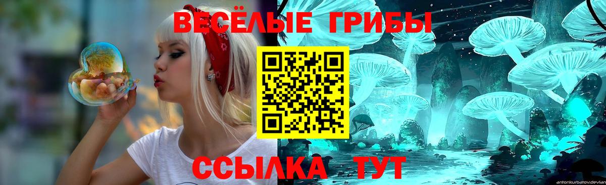 Советская Гавань  Галлюциногенные грибы Psilocybine cubensis  Вход с VPN 